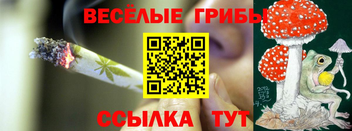 Дивногорск  Галлюциногенные грибы прущие грибы  Вход с VPN 